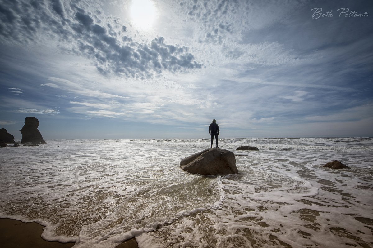 EightCattails's tweet image. A photo I took in #marthasvineyard shouts #fearless #strong #facingthestorm #pandemic Love to you all who are fighting or placed in harms way.