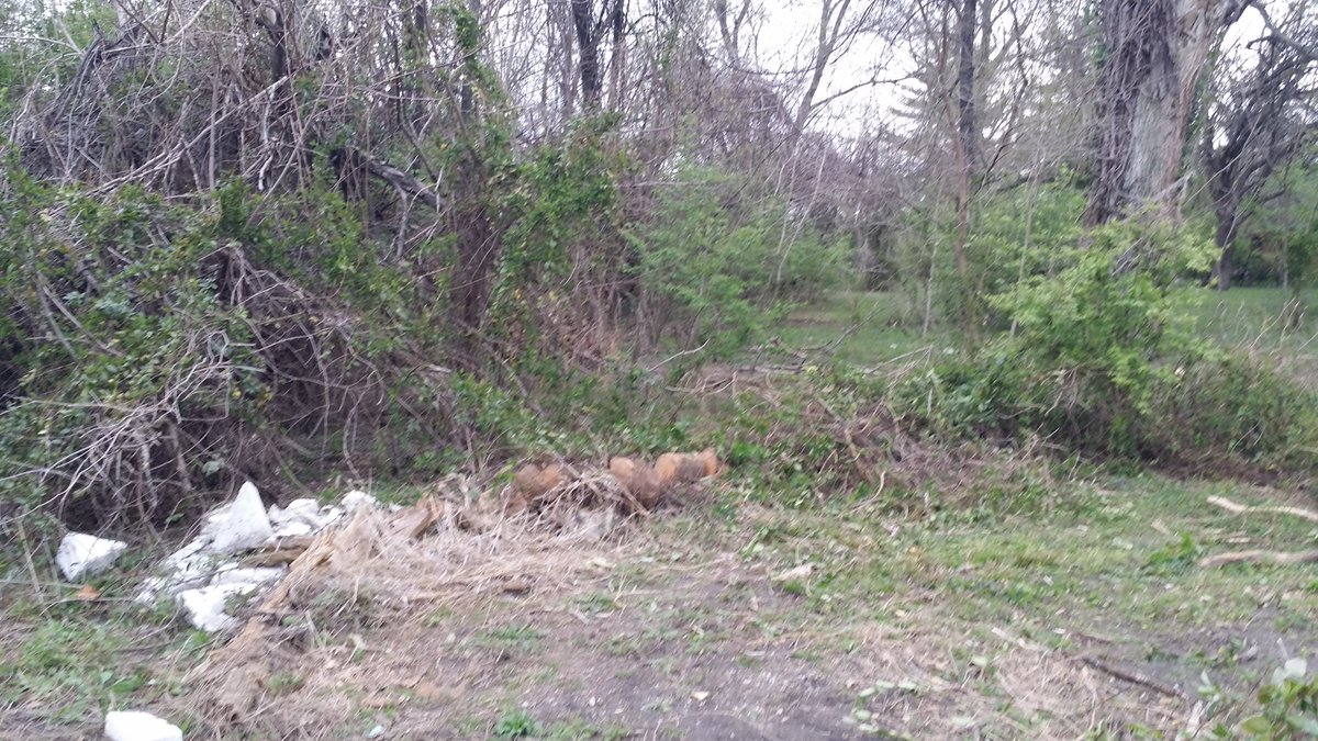 Been a busy few days as can be told by the before pic taken on the 3rd and the after taken this evening.