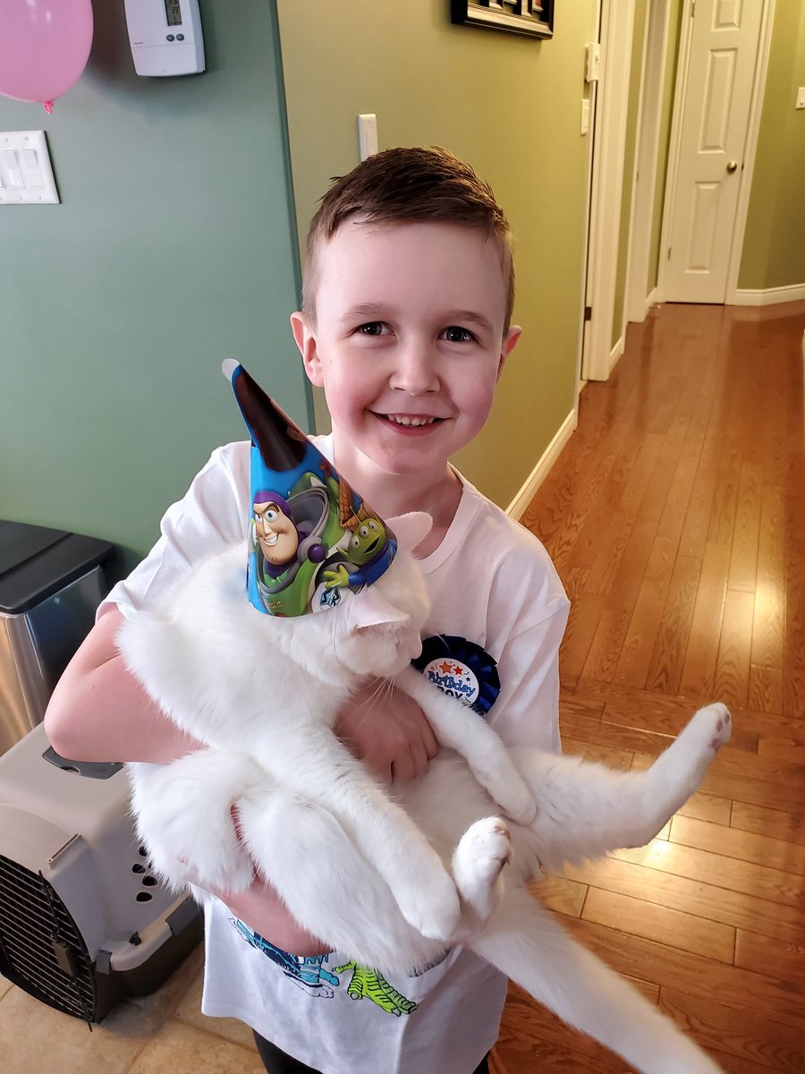 MaxPowerNL's tweet image. Zackarys show and share, his friend blue the cat. @Topsail_Elem #TERIproud