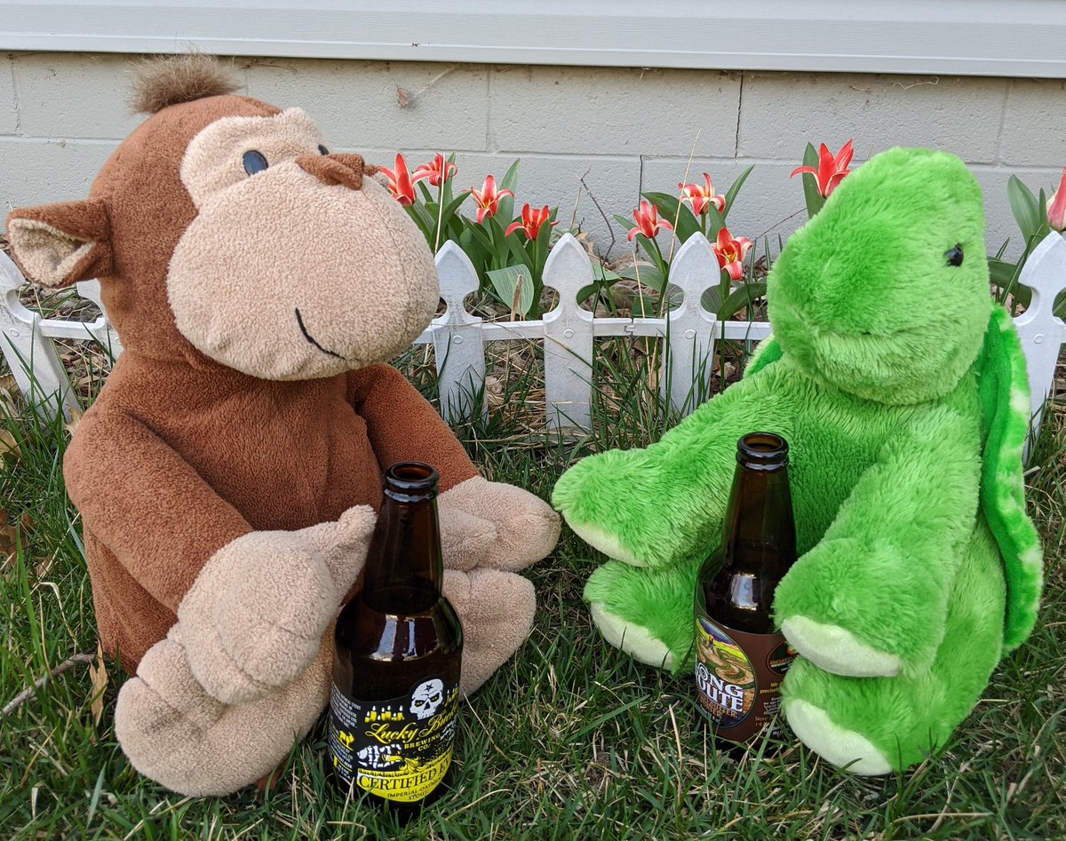 TurtleLJMonkey's tweet photo. Happy #nationalbeerday. Celebrate responsibly. #stuffedanimaladventures #BeKindDoGood https://t.co/SdmRnc1ysu