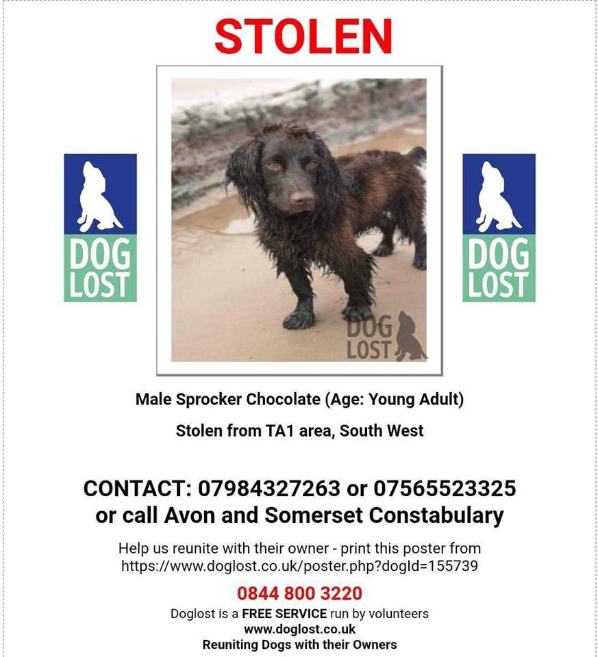 The Animal Team tweet media