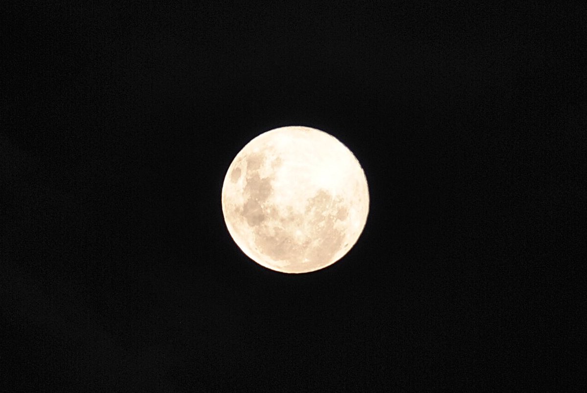 Rosinara's tweet photo. Final de tarde no Parque Nacional da Lagoa do Peixe e chegada da Lua Cheia 🌕
#lagoadopeixe #tavares
@ICMBio @mmeioambiente https://t.co/fowBH0jZpO