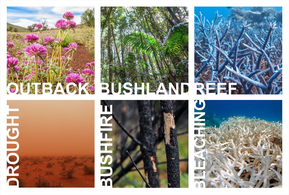 reef_scientist's tweet photo. #Australia's iconic landscapes, reduced from a #rainbow of colours to red, black and white. 

The outback, the bush and the #reef, have all seen dramatic changes in the past 12 months.

We need action on #ClimateChange to protect our koalas, kookaburras and coral! #EarthDay2020 https://t.co/JJ8gCu7gAj