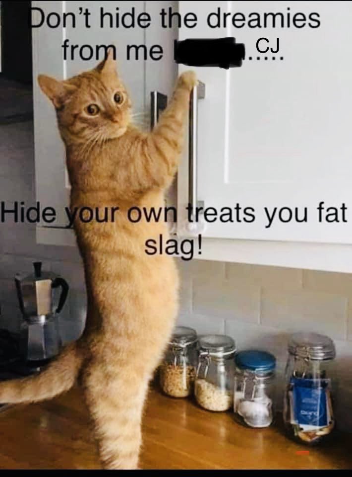 cj_pompey's tweet photo. This is Luna and Merlin............ they’ve seen me reach for a lot of “treats” the last few weeks 🤣🙈🐷 #fatslag #whoateallthepies #misspiggy #foodforcomfort #crazycatlady https://t.co/PwcrasLwlk