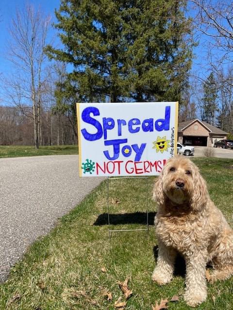 emmafowlerr_'s tweet photo. ❤️Lucy is a Queen❤️ @greenvilledn https://t.co/TQxgGyjTgI