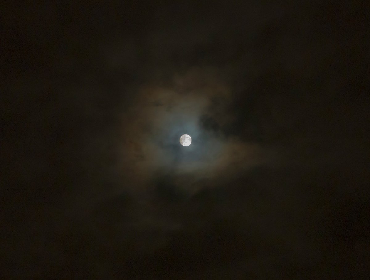 TedDavisHanwell's tweet photo. A kestrel at Warren Farm, the moon, in clouds and the church near the Bunny Park and its spire. https://t.co/5X0aYAHBHW