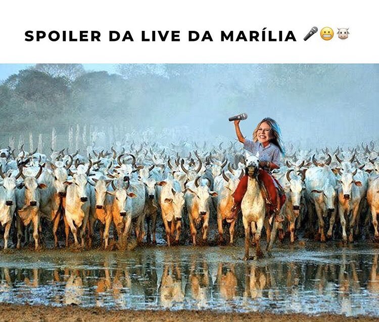 danypittzer's tweet photo. É amanhã! Ativem o modo sofrência 😂🍺🍻 @rebanhodamm @MariliaMReal @Henrique_ba @workshowdigital https://t.co/LIlR9o10ND