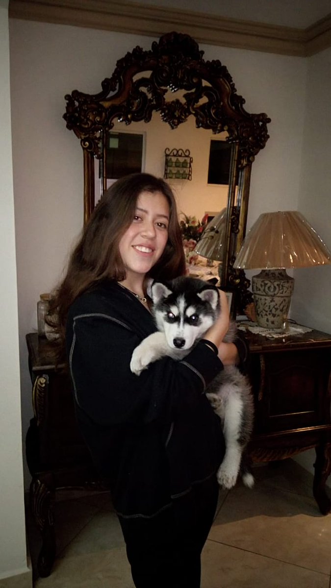 Compilation de las mejores fotos de perritos que he cuidado porque LOS EXTRAÑO