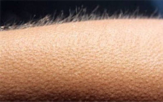 calcinhapreta's tweet photo. “Calcinha Preta confirmou live” https://t.co/UdodBEd91j