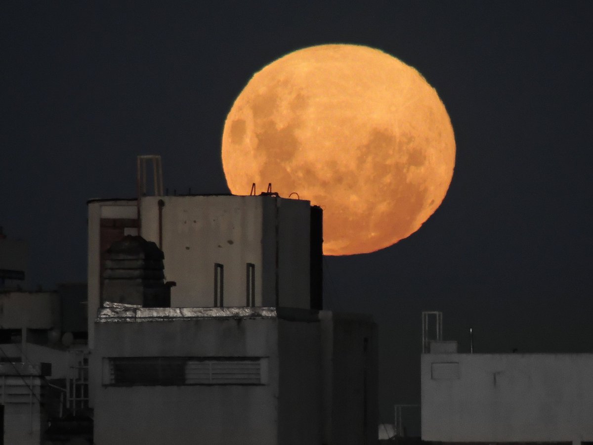 elciudadanoweb's tweet photo. Ya se ve la superluna rosa en Rosario. Fotos de @joanafigueroa. ¿Te animás a mandarnos tu foto de la luna?
https://t.co/nV7HyrChvF https://t.co/HQ1BaIUx5m