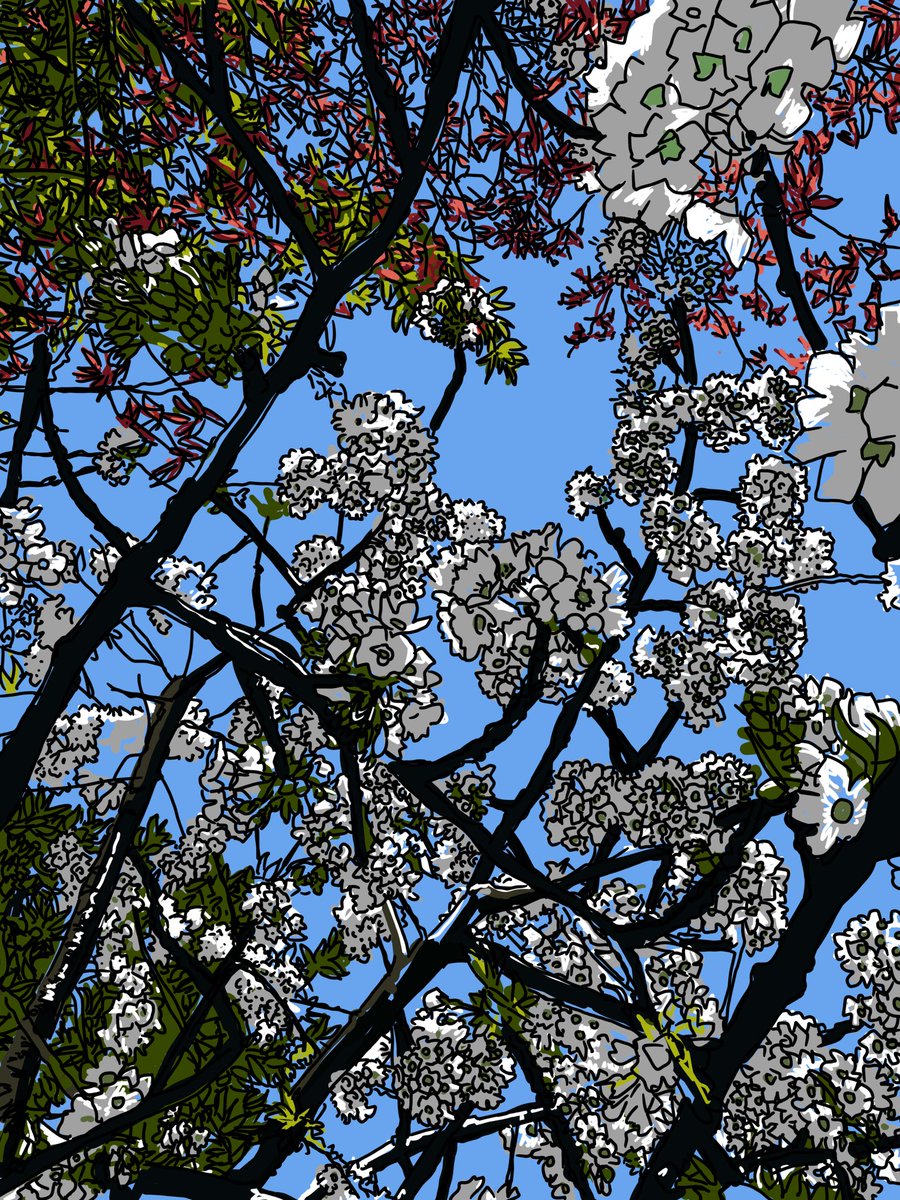 Mike Smith (@65mikesmith) on Twitter photo 