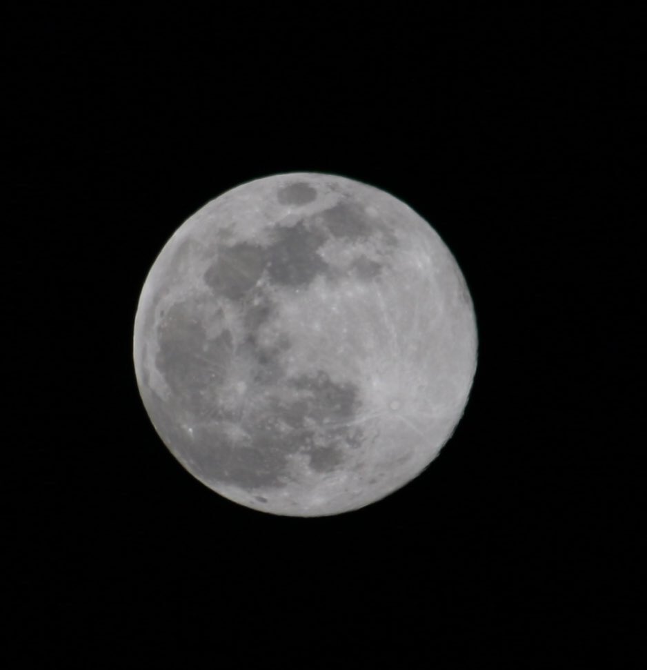 ProyectoGIE's tweet photo. Así se ve la tercera superluna de 2020 #superlunadesdecasa https://t.co/PiWvZeTTjY