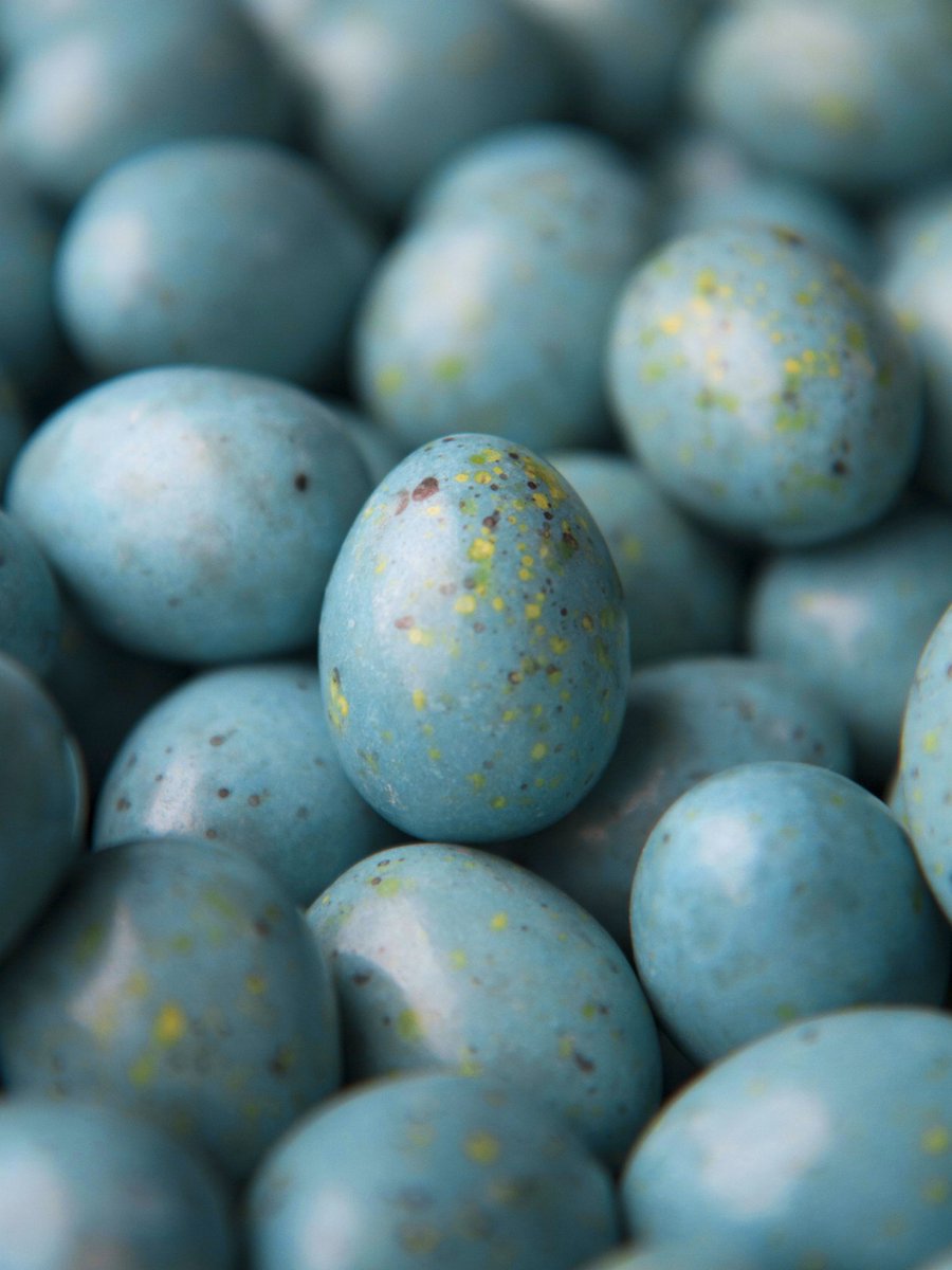 Since we're all nesting at home now, you may find yourself in the mood for these delicious almond and hazelnut milk chocolate praliné eggs from <a href="/MichelCluizelFR/">CLUIZEL Paris</a> Available on our website. #easter #stayathome #eastergifts