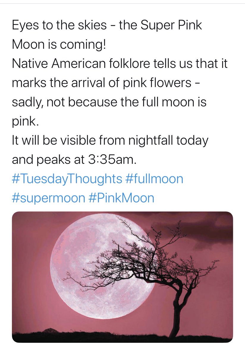 rlmconsultancy's tweet photo. Set your alarms for 3.30AM - it’s a super moon kind of night 🌑 #pinkmoon (that’s not actually pink) https://t.co/YzRiFTP5Rw