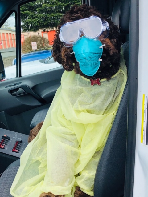 Apollo the AMR Therapy Dog says "wear your PPE"! (This is all expired PPE and has to be tossed...BTW)