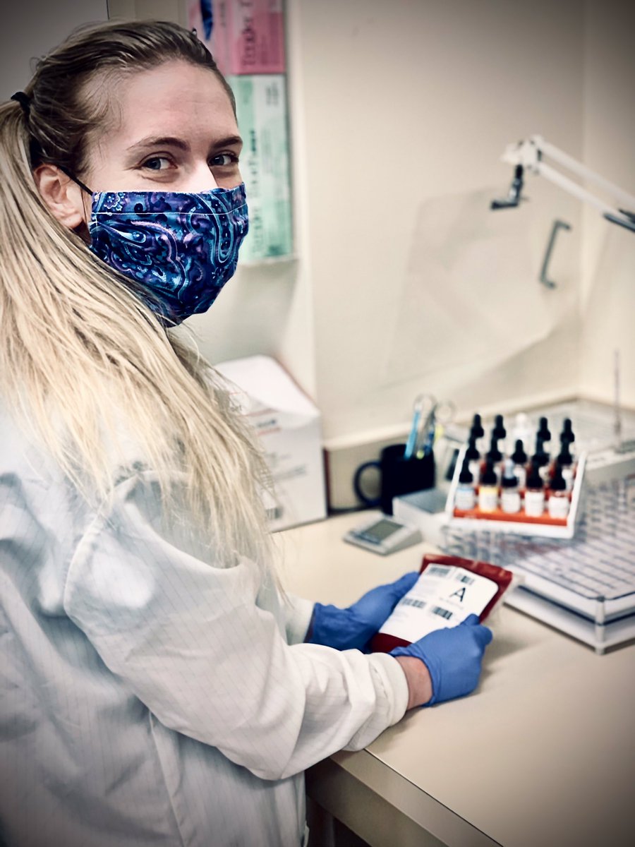 michaelarider1's tweet photo. Loving working as a medical laboratory scientist in the blood bank! Don’t forget to donate blood!💉🩸🦠🧬🧫🧪#falconheroes #bgsualum @Bgsumedlabsci @bgsu @BGSUHHS https://t.co/MVJsvYqSPN