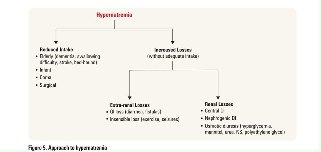 282. Hypokalemia Hypernatremia Hyponatremia Acid-Base Disorder. 