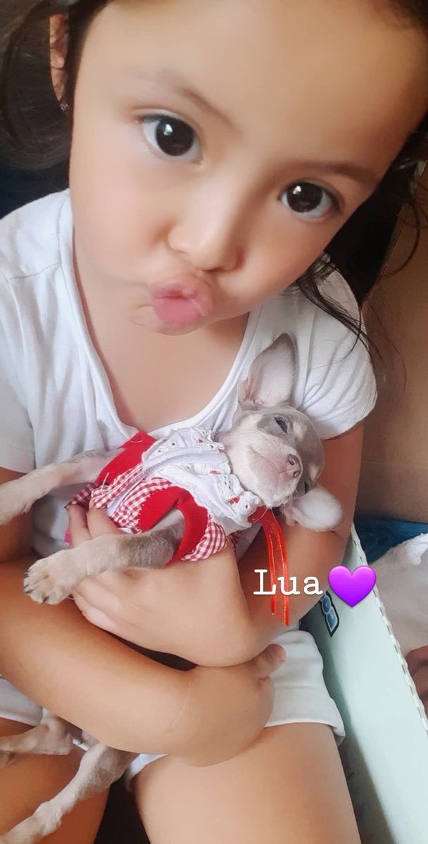 andymogue's tweet photo. Nueva Integrante #Lua 💜 https://t.co/7eAZhOLJQN