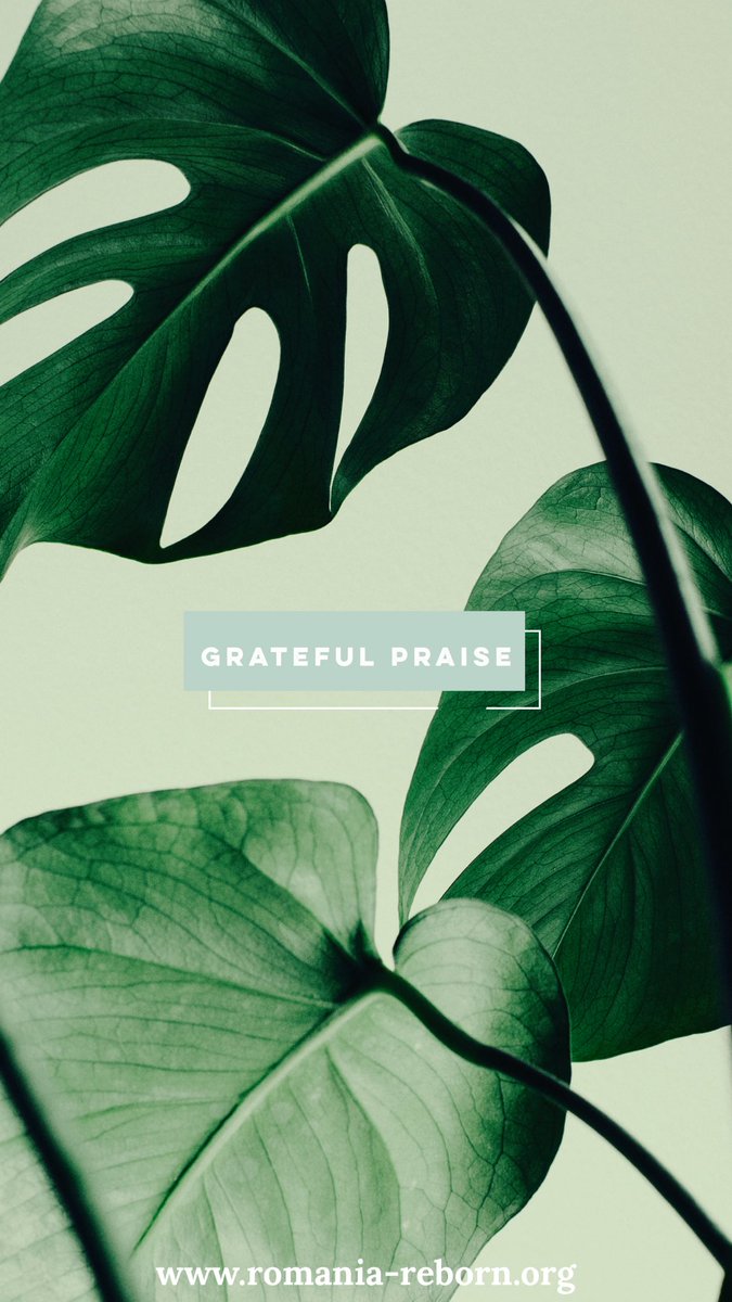 RomaniaReborn's tweet photo. “#Lord of all to Thee we raise
This our #hymn of grateful #praise.”
🎵For the Beauty of the Earth

🙏 #Gratitude: We give thanks &amp; praise for the #community who loves the #orphan despite all else, including #COVID 

https://t.co/2jWufKOoB8 https://t.co/XhiBf1Rm8g