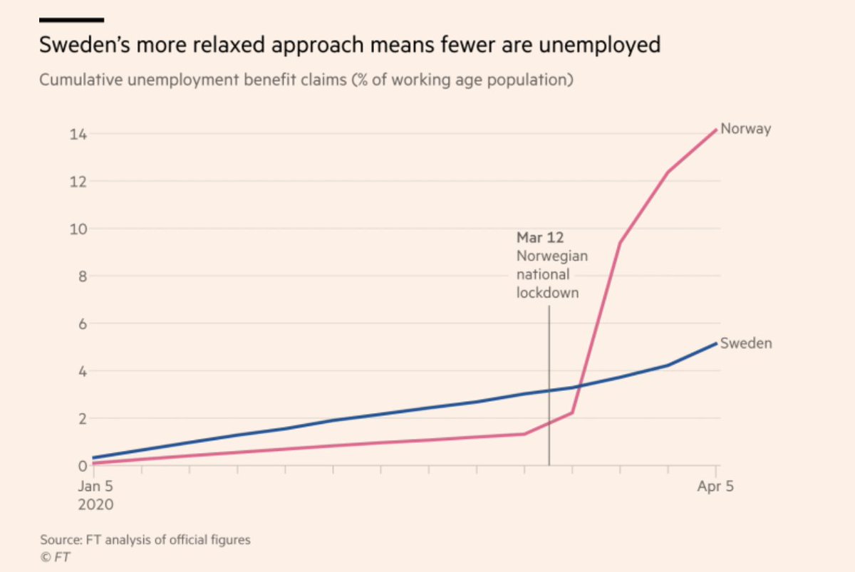Vicente Camillo tweet media