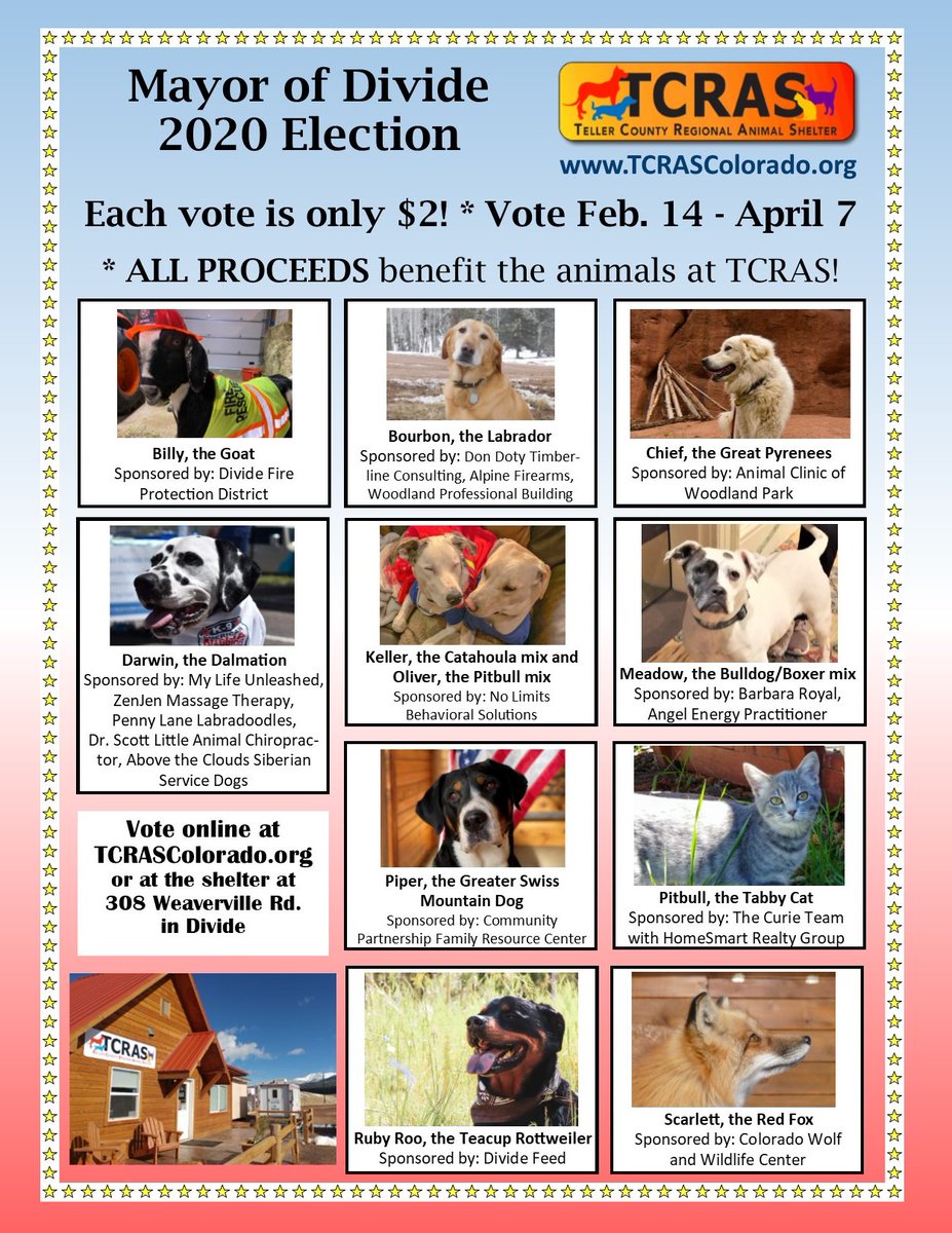 TCRAS's tweet photo. There are only a few hours left to vote for the Mayor of Divide!! You can vote no matter where you live, each vote is only $2 and all of the funds support the animals at TCRAS!! Find out more and vote here-https://t.co/rC2sxoUzDm
#tcras #politics #vote https://t.co/ykuLDImFs7