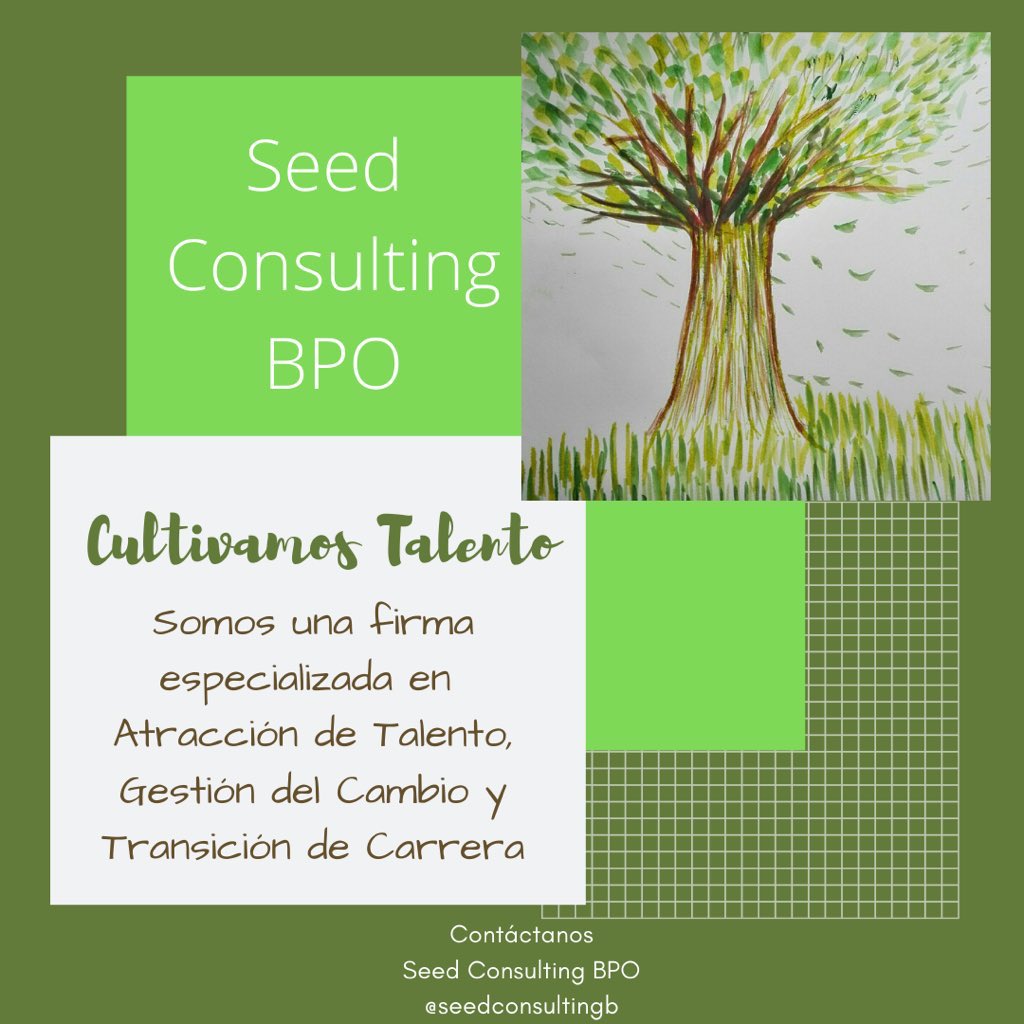 Seed Consulting 🅱🅿🅾 tweet media