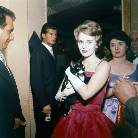 rougehmb's tweet photo. Jean Seberg with her cat, Bip in Cortina d’Ampezzo, Italy,  1960s https://t.co/K8YyHEMBYN