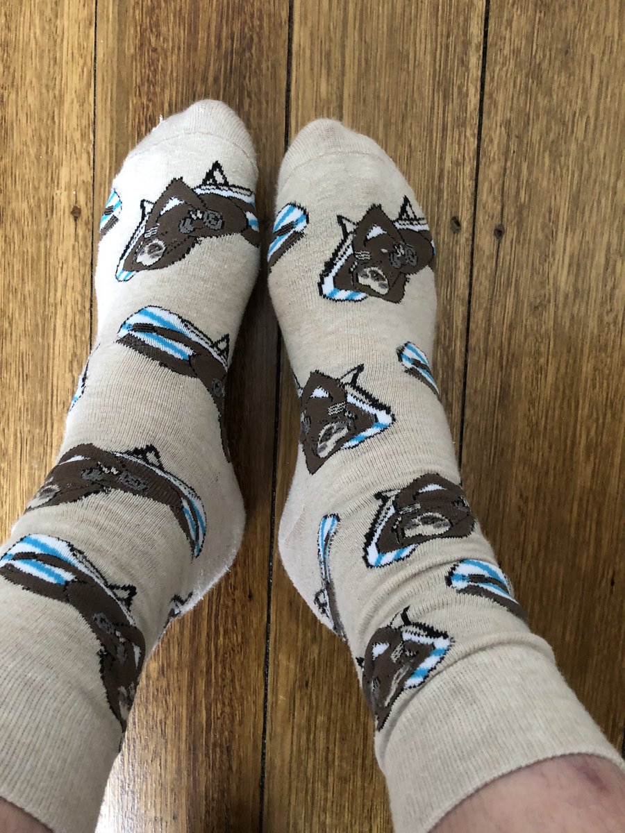 dale_masc's tweet photo. Today’s #wfhsocks mood https://t.co/R1QfyrVzy0