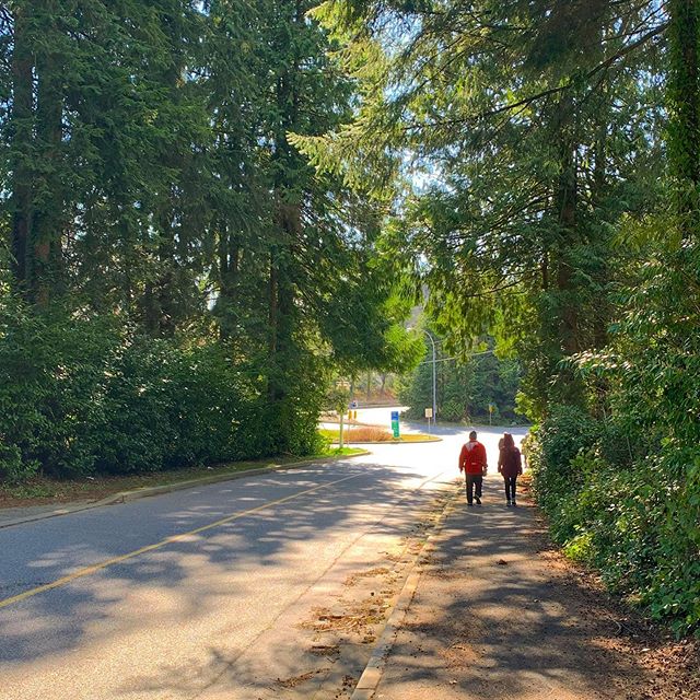 westvanmag's tweet photo. Walking in the hood enjoying the sun - at a safe social distance of course. Funny how I’m seeing so many neighbours, but not going near anyone. We can survive this. Maybe even come out better in some ways. #communitystrong #westvanstrong #northvanstrong… https://t.co/T6QT8IrFQn https://t.co/quEpeOuFOF
