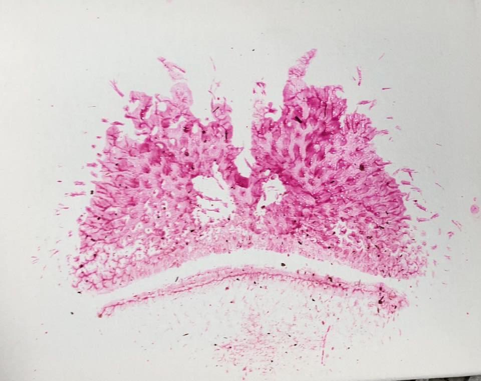 Cincinnati Zoo tweet media