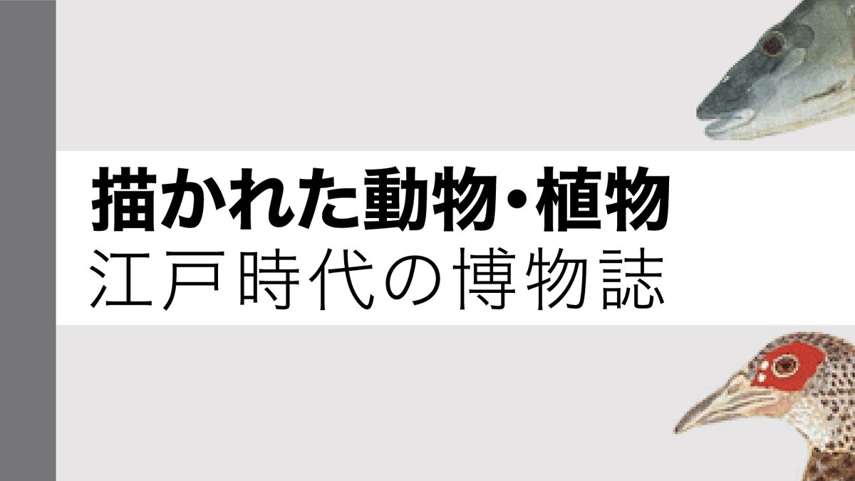 国立国会図書館 Ndl On Twitter 電子展示会を活用しよう その4 5月3日は憲法記念日ですが 皆さんは日本国憲法 制定の歴史についてご存じですか 日本国憲法の誕生 では 日本国憲法の制定過程にまつわる貴重な資料を解説とともに掲載しています 自宅でndl