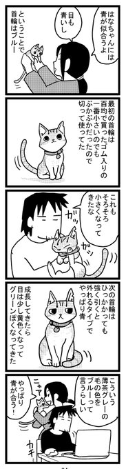 34 ブルーはな 