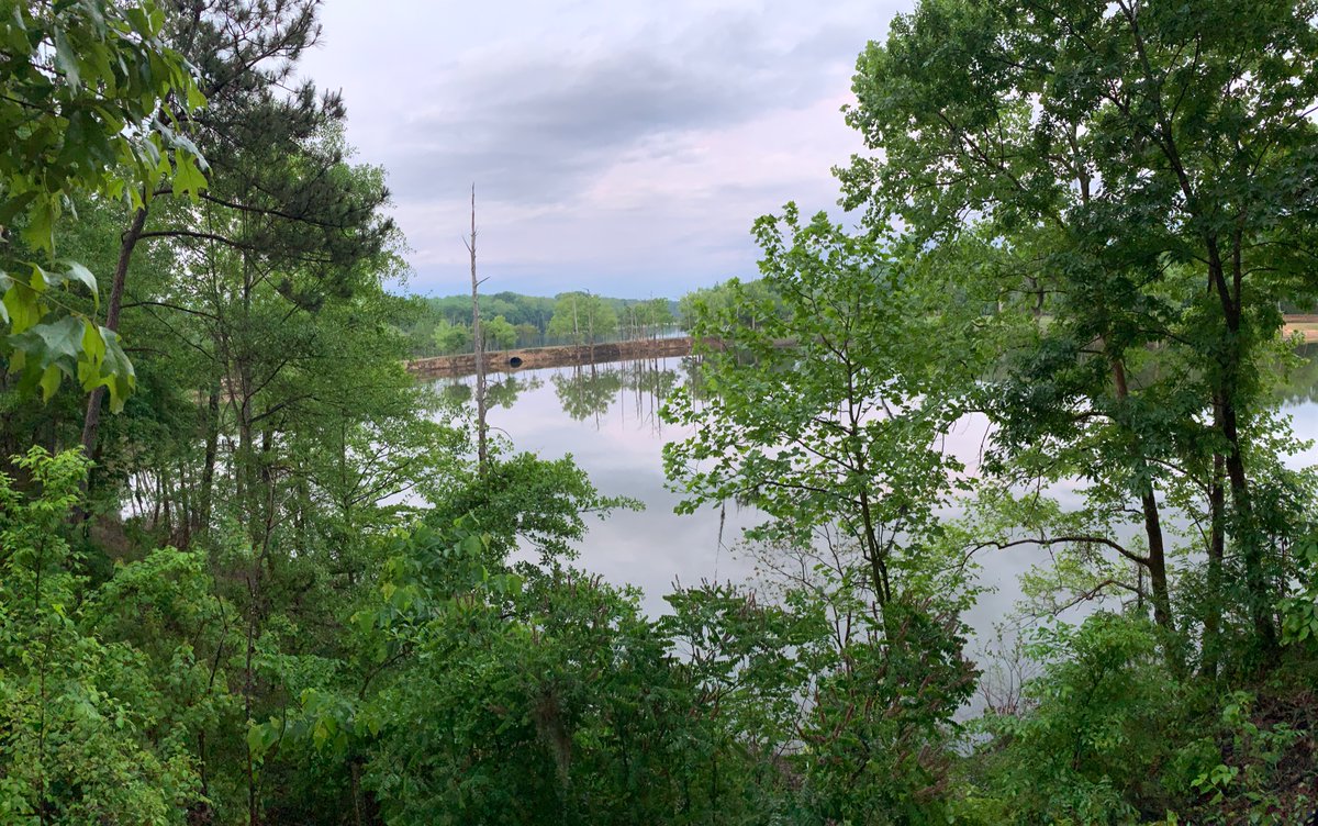 VictoriaBethhh's tweet photo. It is a beautiful quarantine here on the lake. 

I mean day, not quarantine. https://t.co/NPwsqs8z6l