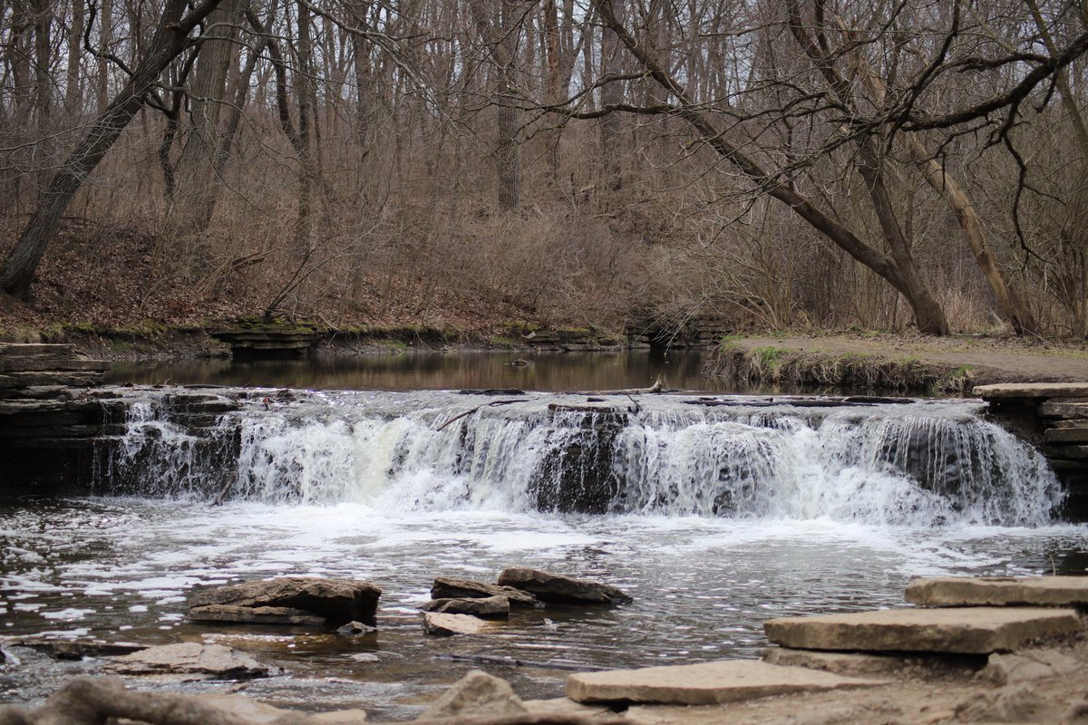 I've been to Waterfall Glen a few times, too. Encompassing the wooded outskirts of Argonne National Laboratory, it's always interesting to go off trail (encouraged!) and explore: just don't try to climb the barbed wire fences. They have orienteering, which I'm definitely trying.