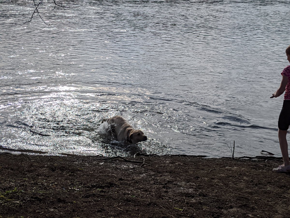 MadlingerFRSD's tweet photo. Getting outside is good for the soul.. and the pup!  Enjoy some family time at the Delaware River in Frenchtown.

#jerseystrong #lovemyrivertown #getoutside #WorldHealthDay 
@huskypride
@DelRiverTowns 
@RFIShuskies 
@FlemRarSchools https://t.co/axxcSG5IAU