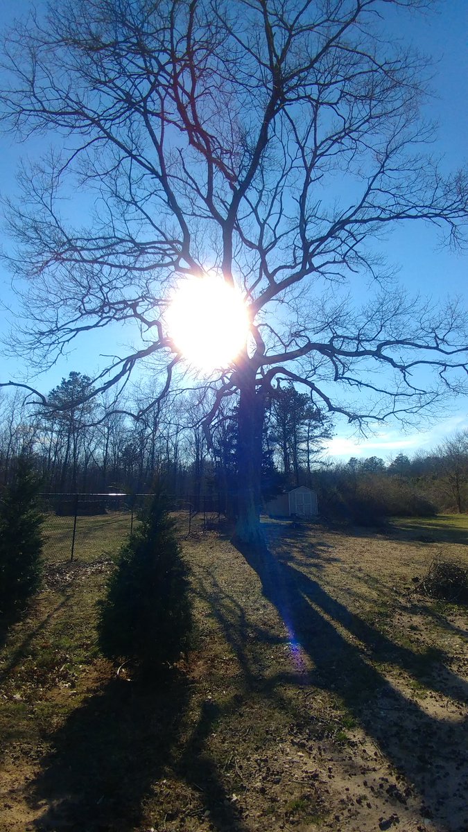 kid_OYO's tweet image. Live! #codeLI