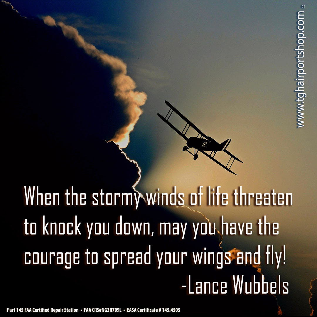 CorpTgh's tweet photo. "When the stormy winds of life threaten to knock you down, may you have the courage to spread your wings and fly!" by Lance Wubbels.
#famousquotes #pilotsview #aviationquotes #proverbs #coolsayings #aviationlovers #storm #hope #wings #apmechanic #aircraftmaintenance #aviationtech https://t.co/t4f62pNfrF