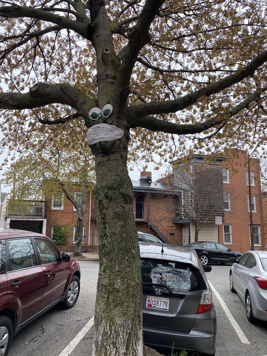 GabySteinhorn's tweet photo. If only everyone were like the trees in Baltimore 😂 #COVID19 #MaskForMankind https://t.co/I6Ma0RhWEm