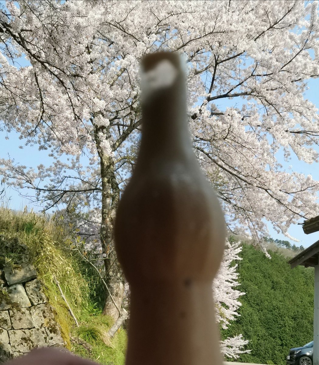 スベガニ がにこ On Twitter ふと見るとベンチに一人の若い男が座っていた ウホッ いい男 そう思っていると突然その男は僕が見ている目の前でパピコを食べ始めたのだ すべがに たべないか