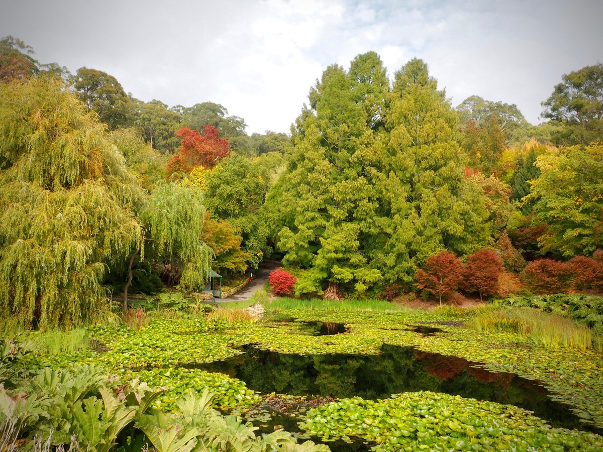 Botanic Gardens Sa S Tweet Good Morning From Mount Lofty