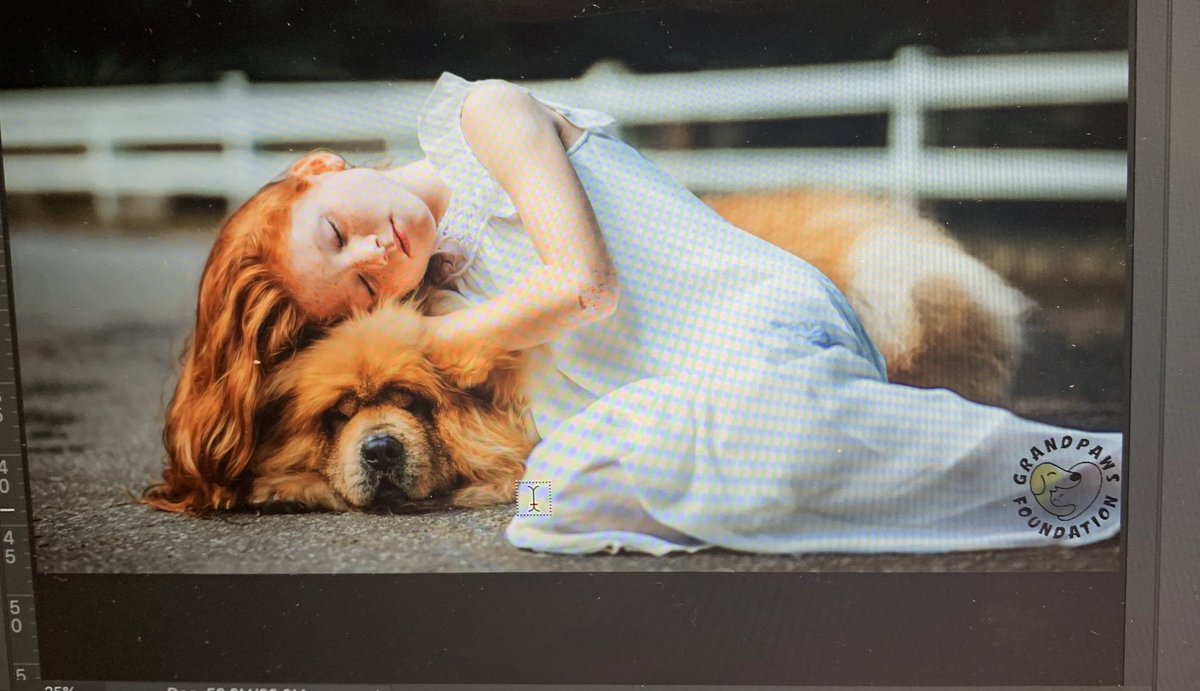 Grandpaws3's tweet photo. Remember when your pet was your best friend. Well we help low income seniors keep their best friends by donating over 1,000 lbs We need YOUR help and you can do this while shopping at home. Just add us to your amazon smile https://t.co/DammFm2mGk #StayHome #HelpingOthers https://t.co/pNUwmtcm7R