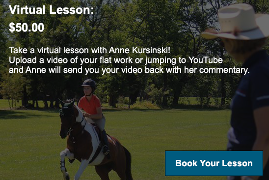 AnneKursinski's tweet image. Virtual and LIVE Virtual Lessons Now Available!  🐴 Learn more and book your virtual lesson at ridingandjumpingmentor.com - mailchi.mp/annekursinski.…