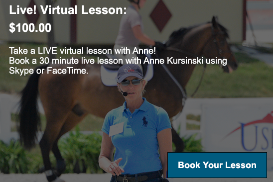 AnneKursinski's tweet image. Virtual and LIVE Virtual Lessons Now Available!  🐴 Learn more and book your virtual lesson at ridingandjumpingmentor.com - mailchi.mp/annekursinski.…