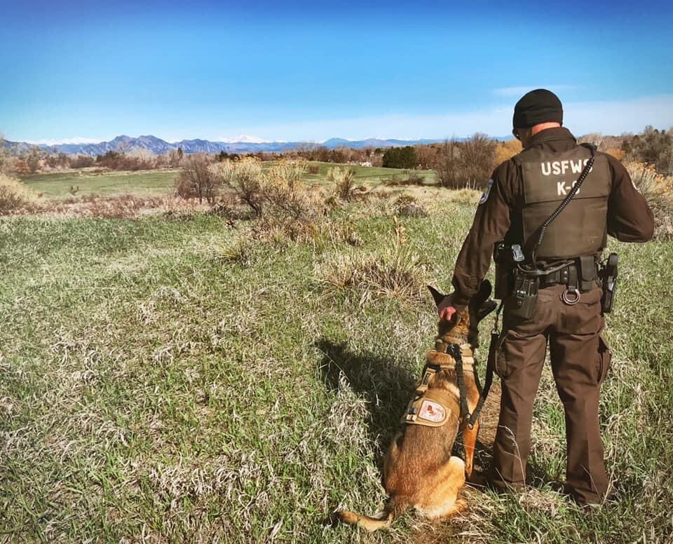 USFWSRMA_Alert's tweet photo. #TwoPonds #WildlifeRefuge #EssentialWorkers https://t.co/2LD13wSf7f