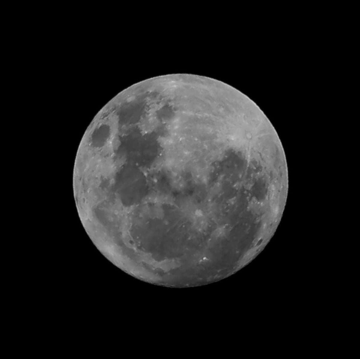 ppjotaorion's tweet photo. #SuperLuna                                               F/8  1/640  200mm  ISO100 https://t.co/ETN4T0TB5f