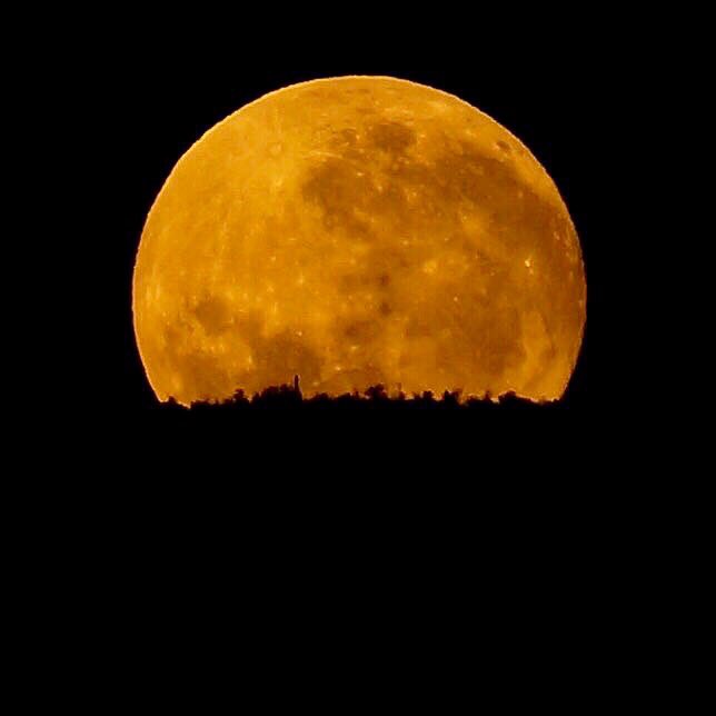 ppjotaorion's tweet photo. #SuperLuna                                               F/8  1/640  200mm  ISO100 https://t.co/ETN4T0TB5f