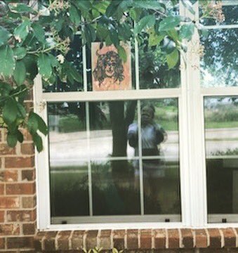 Window Art Wednesday! Post your own art, walk around, photograph art you find.  I hope to see some more of yours tomorrow! 💙 @kellylanems #kellylanemiddleschool #windowartwednesday #pfisdfinearts