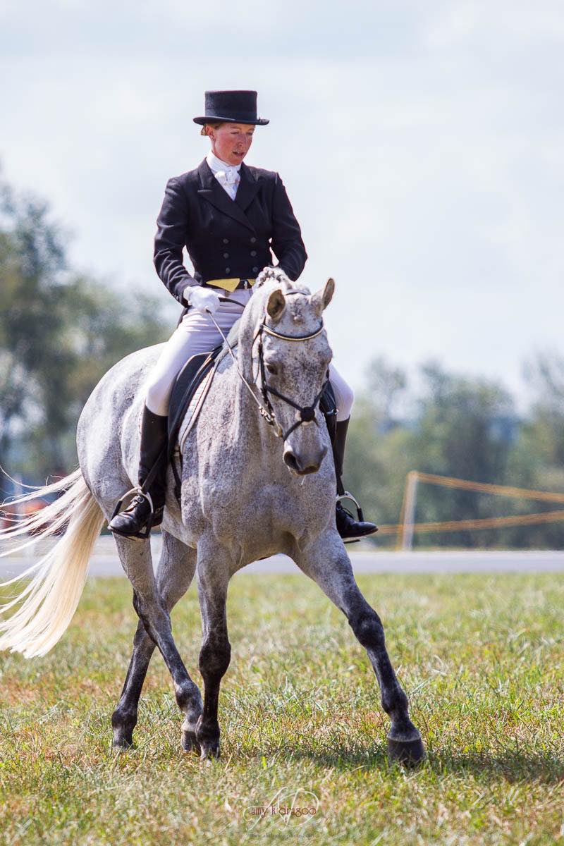 tneventing's tweet photo. Polar Storm in the Advanced or CCIS4* at Plantation Fields back in our heydays! #eventing #irishsporthorse #horsetrainer #missjumpingthebluenumbers #eventingnation #topnotcheventing #jumpallthethings #lasvegaseventers https://t.co/XJwa2kropl
