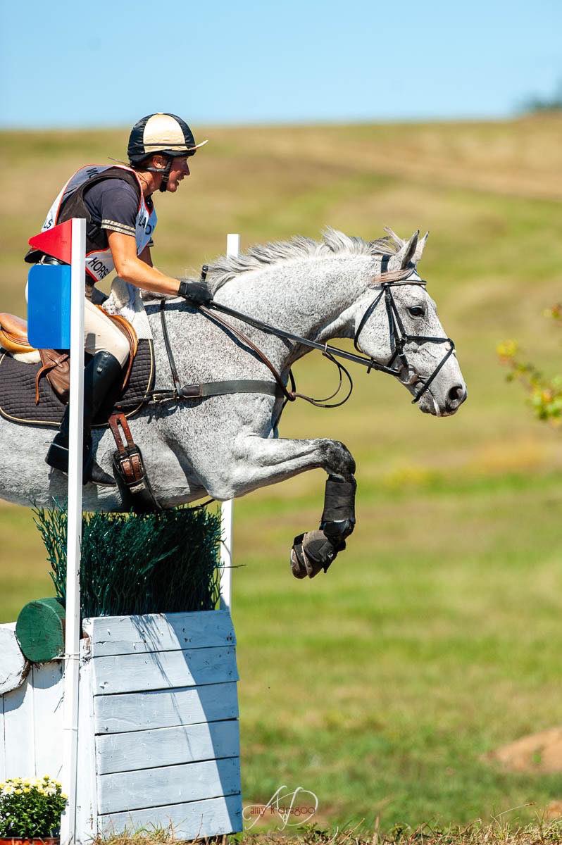 tneventing's tweet photo. Polar Storm in the Advanced or CCIS4* at Plantation Fields back in our heydays! #eventing #irishsporthorse #horsetrainer #missjumpingthebluenumbers #eventingnation #topnotcheventing #jumpallthethings #lasvegaseventers https://t.co/XJwa2kropl