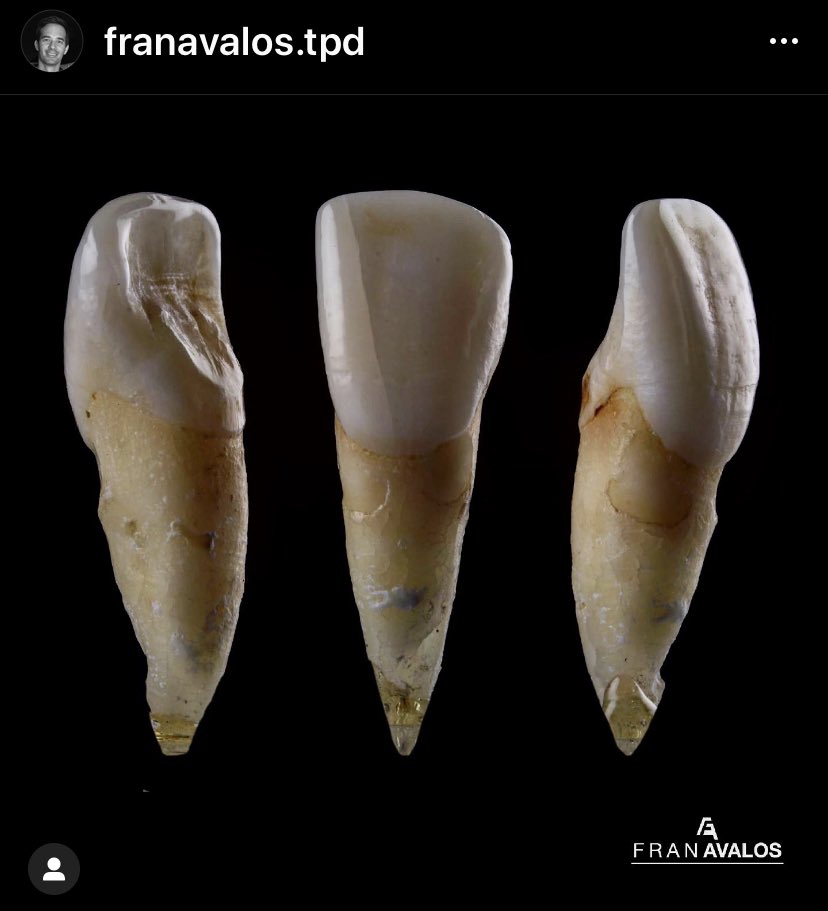 AppleFanTips's tweet photo. Sigan  la cuenta @franavalos.tpd  en Instagram https://t.co/9vUHJqUucT